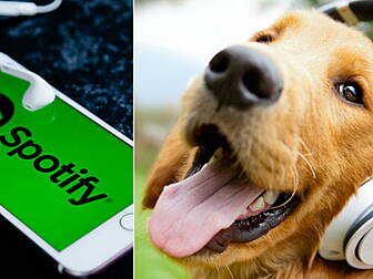 Spotify Launches Podcasts & Pl...